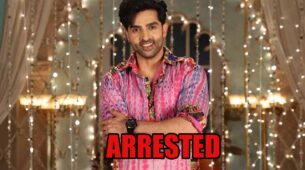 Teri Meri Ikk Jindri spoiler alert: Jogi to get arrested?