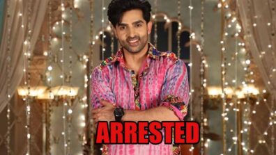 Teri Meri Ikk Jindri spoiler alert: Jogi to get arrested?