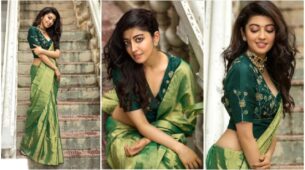 Time When Pranitha Subhash Melt Netizens By Her Green Silk Saree Showing Off Her Curves