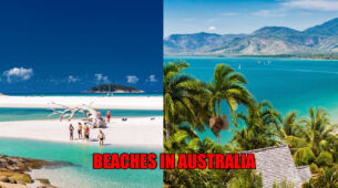Top 5 Beaches You Must Visit In Australia