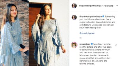 Unknown Fact: Divyanka Tripathi reveals her love for architecture, Ruhanika Dhawan comments