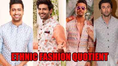 Vicky Kaushal, Katrik Aaryan, Tiger Shroff, Ranbir Kapoor: Whose Ethnic Fashion Quotient Makes Us Go AWW!