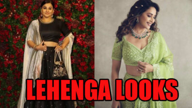 Vidya Balan To Madhuri Dixit: 3 Divas Who Looked Gorgeous In Lehenga, Pictures Here