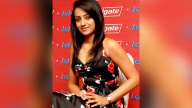 What Did Trisha Krishnan Do Before Becoming An Actress?