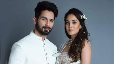 What Is Shahid Kapoor & Mira Rajput’s Combined Net Worth? Know The Truth