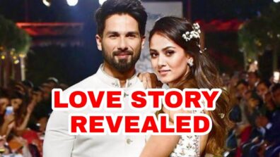 Where Did Shahid Kapoor Meet Mira Rajput For The First Time? Full Love Story Revealed