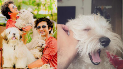 Who is bringing happiness in Sumedh Mudgalkar’s life? Find Out