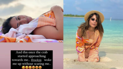 Who is the ‘stalker’ secretly keeping an eye on Hina Khan during her bold beach photoshoot?