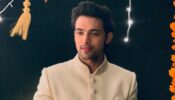 5 times Parth Samthaan gave us lessons on how to click a perfect mirror selfie