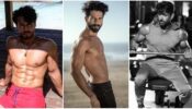 Hot Toned Body: Hrithik Roshan Vs Tiger Shroff Vs Shahid Kapoor: Who Is Your Fitness Inspiration?
