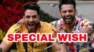 All the best mere bhai: Aly Goni wishes Rahul Vaidya ahead of Khatron Ke Khiladi 11, see post