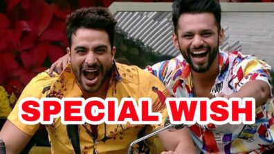 All the best mere bhai: Aly Goni wishes Rahul Vaidya ahead of Khatron Ke Khiladi 11, see post