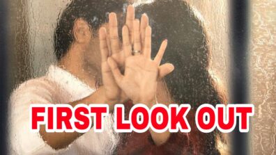 Allu Sirish & Anu Emmanuel get romantic in first look of untitled next, read details