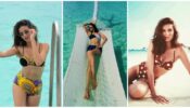 Ananya Panday Vs Rakul Preet Singh Vs Tara Sutaria: Who Looks Flawless In A Bikini?