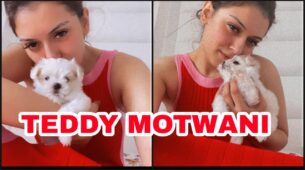 My Teddy: Hansika Motwani brings home a super cute new white teacup Maltese puppy, fans melt in awe