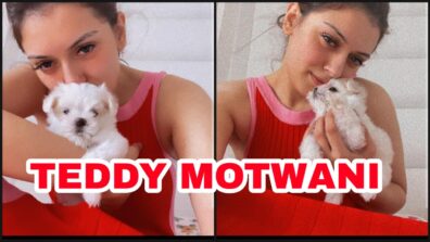 My Teddy: Hansika Motwani brings home a super cute new white teacup Maltese puppy, fans melt in awe