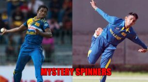 Best 5 Test Spinners: Know Here