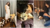 Beauties With Their Pets: Sai Pallavi, Samantha Akkineni And Keerthy Suresh’s Pictures With Their Pets Are Too Cute To Ignore