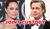 Big News: Brad Pitt awarded joint custody of children with Angelina Jolie
