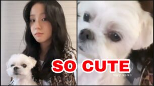 Blackpink’s Jisoo spends quality time with her adorable white pet dog, see unseen video