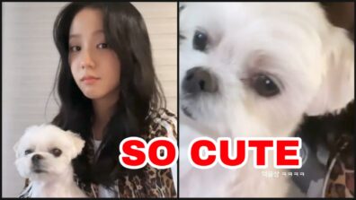 Blackpink’s Jisoo spends quality time with her adorable white pet dog, see unseen video