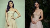 Bollywood Beauty Queens: Shraddha Kapoor Vs Ananya Panday: Which Babe Deserves 10/10 On Neutral Strapless Mesh Dress?