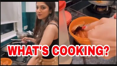 Chef Malavika in the kitchen: See Malavika Mohanan doing the chef duties in the kitchen ,views will melt your heart