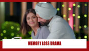 Choti Sarrdaarni Spoiler Alert: Meher’s memory loss behavior SHOCKS Sarabjit