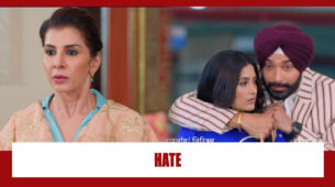 Choti Sarrdaarni Spoiler Alert: OMG!! Meher to HATE Kulwant