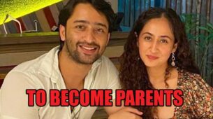 Congrats: Shaheer Sheikh and Ruchikaa Kapoor to become parents
