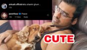 Ektu Shantir Ghum: Ankush Hazra caught on camera in candid moment sleeping with his pet dog, Hindi TV actress Jaswir Kaur has something to say