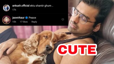 Ektu Shantir Ghum: Ankush Hazra caught on camera in candid moment sleeping with his pet dog, Hindi TV actress Jaswir Kaur has something to say