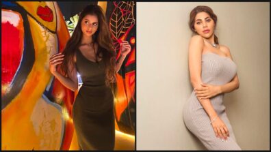 Enthralling Hotties: Nikki Tamboli Vs Suhana Khan: Who Donned The Bodycon Dress Looks Flawlessly? Vote Now