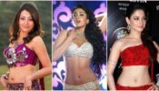 Flaunt Your Fit Belly Curves and Navel Like Tamannaah Bhatia, Shriya Saran & Trisha Krishnan To Make A Bold Style Statement