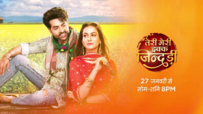 Fresh Update: Zee TV show Teri Meri Ikk Jindri NOT going off air anytime soon