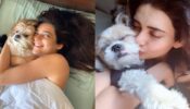 Haha: Karishma Tanna’s Doggo Koko Tanna Is Missing His Friends In The Park, His Face Will Leave You In Aww