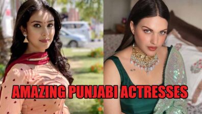 5 Most Amazing Punjabi Actresses: From Navneet Kaur To Himanshi Khurana