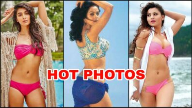 Hottest Bikini Photos Of Mallika Sherawat, Pooja Hegde & Urvashi Rautela That Made Us Sweat