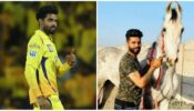 Is there Anything Ravindra Jadeja Can’t Do? Watch Ravindra Jadeja As He Flaunts His Horse-Riding Skill