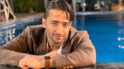 Inside the House of Shaheer Sheikh: From Prettiest Corners to Luxury Space, He Has It All