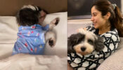 Janhvi Kapoor shares ‘pawsome’ moment with her pet dog, fans in awe