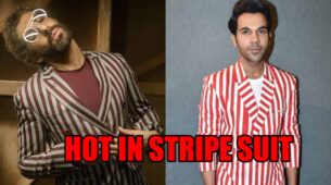 Jim Sarbh Vs Rajkumaar Rao: Which Handsome Hunk Deserves A 10/10 For Their Stripe Suit?