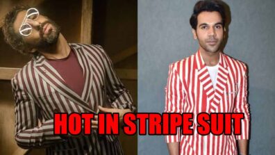 Jim Sarbh Vs Rajkumaar Rao: Which Handsome Hunk Deserves A 10/10 For Their Stripe Suit?