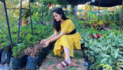 Lockdown diaries: TMKOC diva Palak Sindhwani spotted gardening at her farm house, photo goes viral