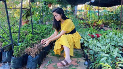 Lockdown diaries: TMKOC diva Palak Sindhwani spotted gardening at her farm house, photo goes viral