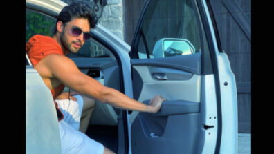 [Long Drive Pe Chal] Fans enjoy a romantic long drive with Parth Samthaan: deets inside