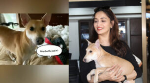 Madhuri Dixit’s adorable video of her pet dog is the cutest thing on internet today