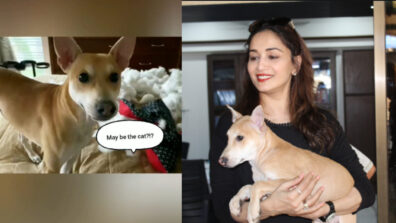 Madhuri Dixit’s adorable video of her pet dog is the cutest thing on internet today