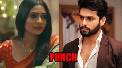 Mehndi Hai Rachne Waali spoiler alert: Pallavi to PUNCH Raghav