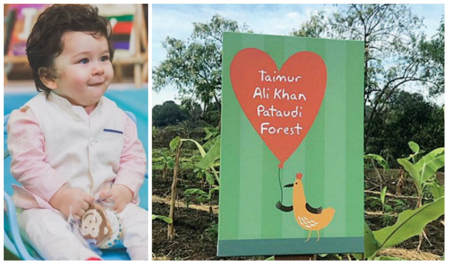 Most Ridiculously Expensive Gifts Received By Star Kid From Their Celeb Parents: From Shah Rukh Khan’s Abram Khan- To Saif Ali Khan’s Taimur Ali Khan - 0